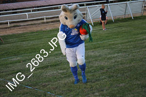 IMG 2683