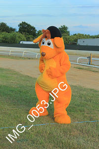 IMG 0053