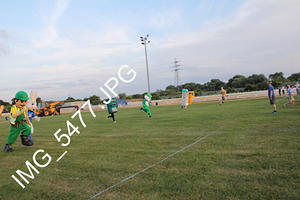 IMG 5477