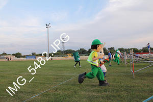 IMG 5482