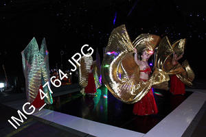 IMG 4764