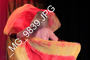  MG 9839