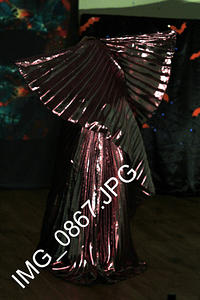 IMG 0867