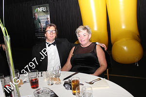 IMG 3797