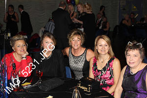 IMG 5231