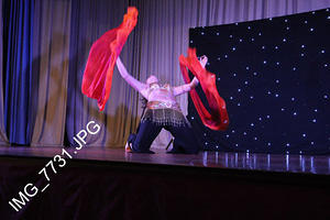 IMG 7731