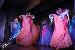 IMG 7848