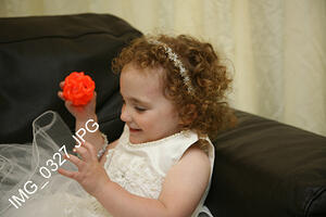 IMG 0327