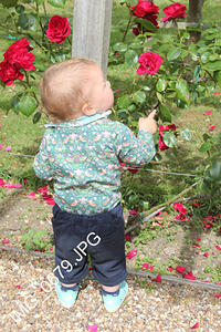 IMG 0679