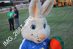 IMG 2687