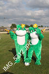 IMG 5312
