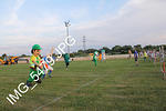 IMG 5479