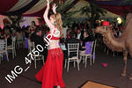 IMG 4750