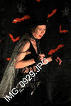 IMG 0929