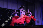 IMG 7915