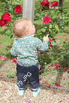 IMG 0679