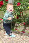 IMG 0681