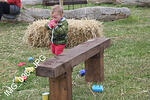 IMG 0984